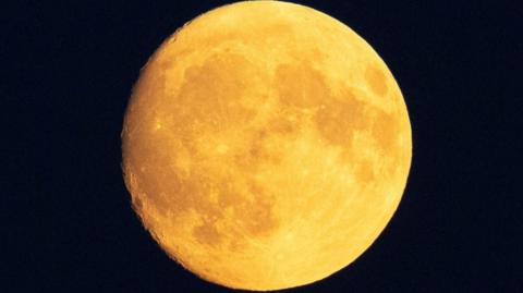A glowing yellow 'Buck Moon'. 