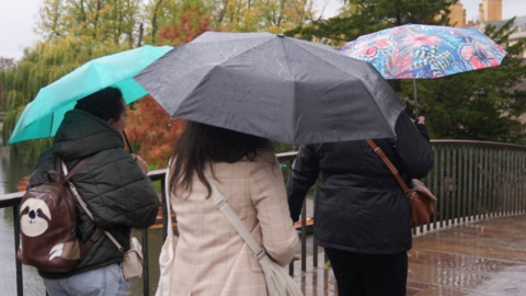 Three people are walking away from the camera, each carrying a differently coloured umbrella. The pavement in front of them is wet.