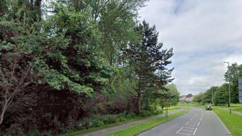 Looking down the Akers Way road - a thicket of trees on the left, with grass verges and a footpath on the opposite side, with streetlights