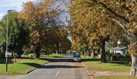 A residential road lined with browning trees on a sunny autumn day. There are leaves falling on the road and cars parked along it.