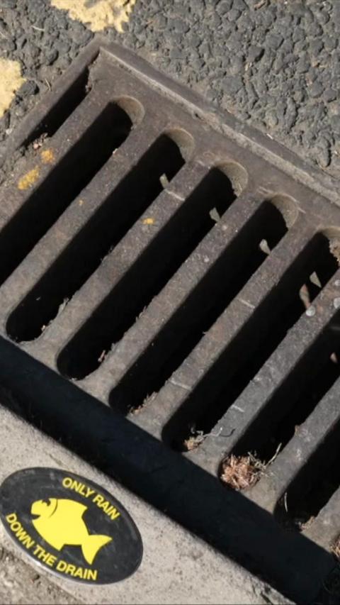 A drain with a fish sticker next to it