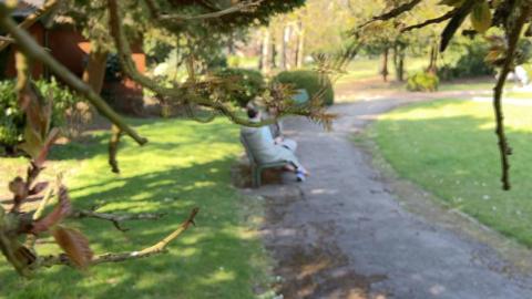 Two women are sat on a bench in a park. One is obscured by the tree, she is talking to a female reporter. 