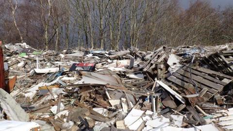 Piles of broken pallets, boxed and other waste in front of a row of trees