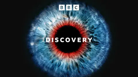 Discovery
