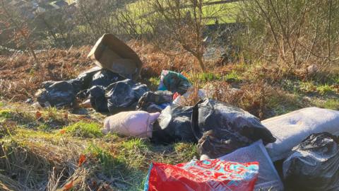Bags of dumped rubbish on patch of green grass and trees