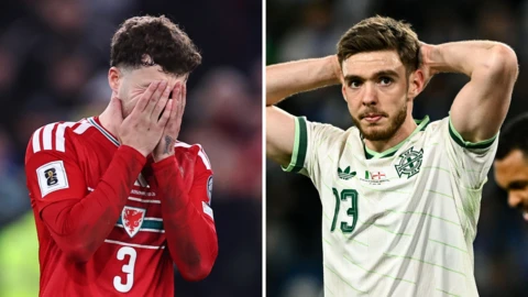 Wales and Northern Ireland