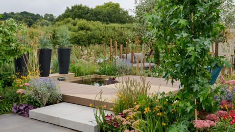 A wooden decking is in the middle of the image and has three tall black plant pots to the left. In front of there there is a small pool of water. There are different coloured plants planted around the decking. 