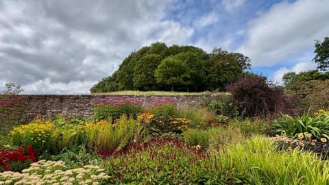 A colourful walled garden with wild flowers and partly cloudy skies overhead.