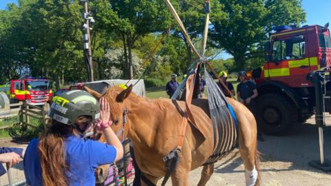A brown horse is standing with a winch around his middle. He is with a woman wearing a helmet with the word "vet" on it, and there are firefighters and an engine in the background