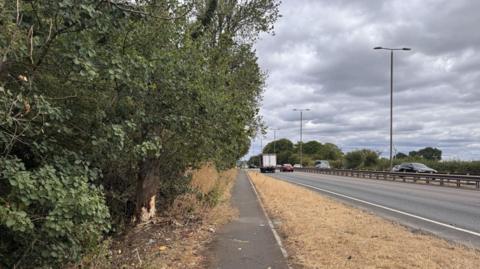 A narrow pavement runs alongside a dual carriageway under a cloudy sky. Dense green trees and shrubs line the left side of the path, while dry yellow grass borders the road on the right. Several vehicles, including a lorry and cars, travel along the carriageway, which is separated by a central barrier. Tall streetlights are spaced along the roadside, and the scene stretches into the distance beneath dark grey clouds.