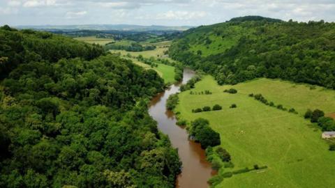 An aerial shot of the River Wye winding its way through the countryside. The water is brown. One river bank is completely covered in trees, with a hill and fields in the background. On the other bank there are wide open fields, with sheep dotted around, before it rises into a tree-covered slope. 