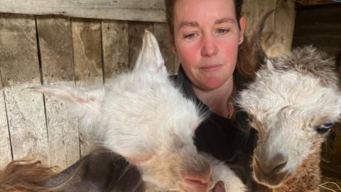 Kate gazes at the two alpaca babies, one white and one brown as they sit on her lap. The white one has her eyes closed. Kate has brown hair tied back. There is a wooden door or gate behind her.
