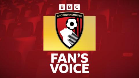 Bournemouth fan's voice graphic