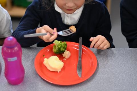 A school-aged child is shown eating a school dinner of a red plate. Only the lower half of their face is visible.
