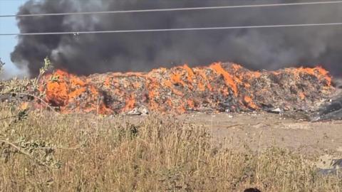 A heap of waste burning. Large plumes of smoke have darkened the air. Some withered grass is seen near the heap.