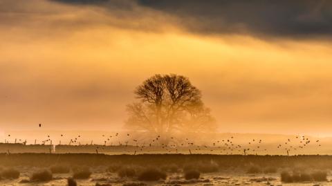 Misty sunrise