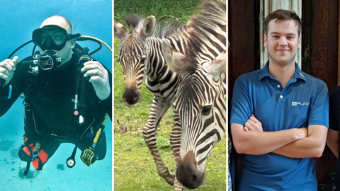 Three side-by-side images. On the left, a diver in scuba gear floats in a bright blue body of water. In the middle, a zebra and its foal graze. On the right, a young man with brown hair and a blue polo shirt crosses his arms.