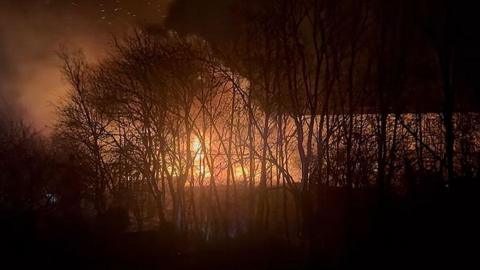 Huge flames of fire behind trees in the middle of the night.