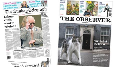 A composite of the front pages of the Sunday Telegraph and the Observer on 17 May 2026.