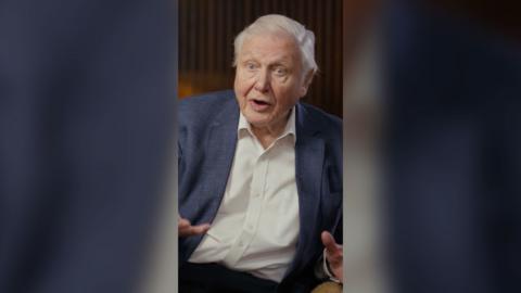 David Attenborough is wearing a white shirt and a blue blazer