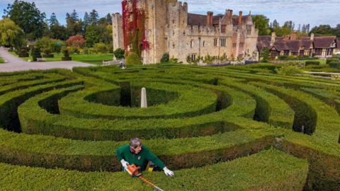 A gardener wearing a green jumper and wearing protective eyewear, is holding a hedge trimmer trimming a hedge maze. A castle is standing in the background.