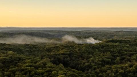 White smoke hovers above trees 