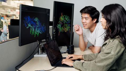 Two people working together at a desk in what appears to be a laboratory or research office environment. Large computer monitors display colorful three-dimensional molecular or protein structure models against dark backgrounds, while a laptop on the desk shows lines of code or data. One person is seated using the laptop, and another is leaning toward the screens as both focus on the scientific visualizations. Laboratory shelving and equipment are visible in the background, suggesting a biomedical, biotechnology, or computational research setting. The scene emphasizes the use of computer-based analysis and visualization tools to study complex biological structures.