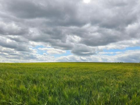 Kegworth, Leicestershire