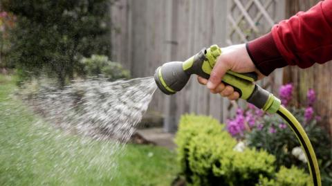 Hand holding hosepipe to water plants in a garden.
