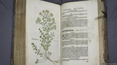 A book by Leonhart Fuchs on herbal plants published in Basel in 1542