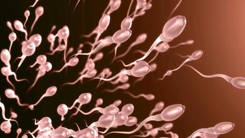 Stock image of translucent white sperm swimming against a darkish red background