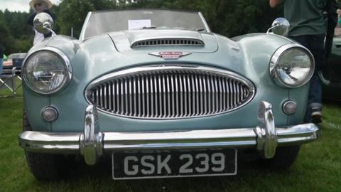A mint-green classic Austin-Healey 3000 is shown from the front, parked on grass at an outdoor vehicle show with its wide grille, chrome bumpers and round headlights gleaming under overcast skies.
