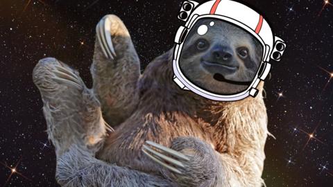 A sloth in space wearing an astronaut helmet. 