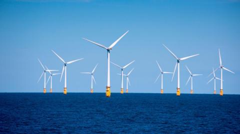 Crainn-gaoithe aig muir