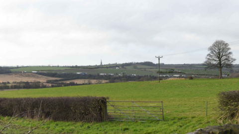 A large area of grassed land with an electricity pylon seen in the background.