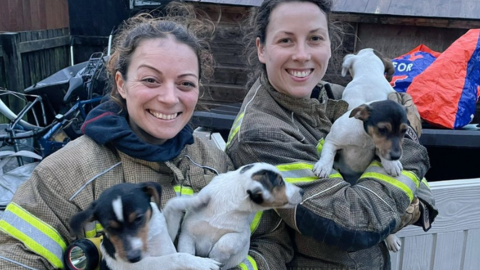 Two firefighters holding three puppies and smiling at the camera