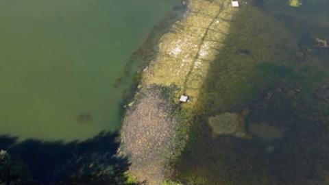 Road appears from water.