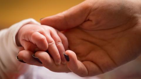 Child's hand in that of its mothers