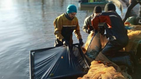 Two men stood in a pond with a large black next. They are putting putting silver fish into a yellow net, helped by a man kneeling on the bank of the pond