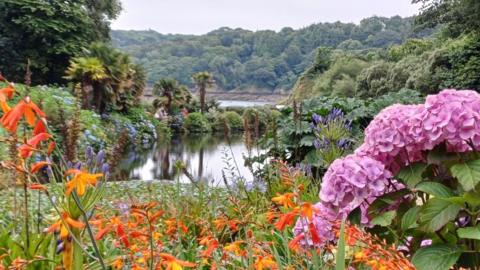 Orange and purple flowers in close-up with a lake, trees and cloudy sky behind