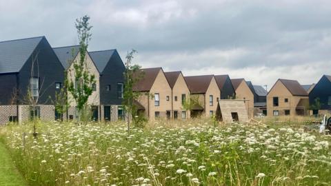 A line of small new build houses with pointed roofs behind a meadow filled with cow parsley.  