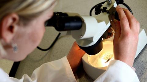 Woman looking through a microscope