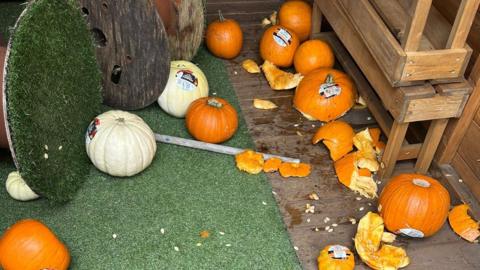 Scattered white and orange pumpkins all crushed and strewn inside a shed.