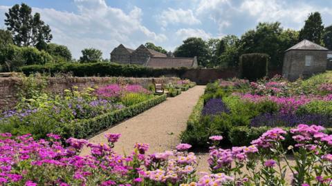 Pink and purple flowers in borders around a gravel path