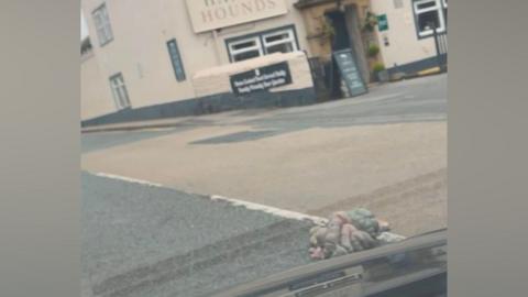 A pile of intestines in the road outside a pub called the Hare and Hounds