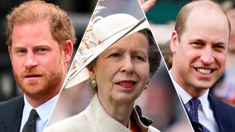 SPLIT IMAGE: Prince Harry, Princess Anne, and Prince William