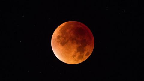 Blood Moon