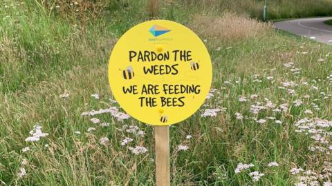 A sign reading 'pardon the weeds we are feeding the bees'