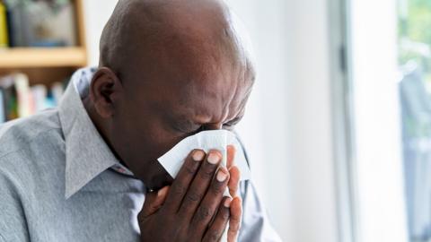 Close-up shot of senior man with the flu blowing his nose at the office. He is wearing a blue shirt. 
