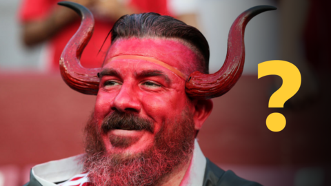 A fan dressed up as a Red Devil